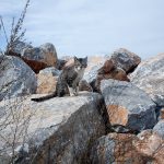 γάτα πάνω στα βράχια.