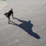 σκυλί με τη σκιά του δίπλα.