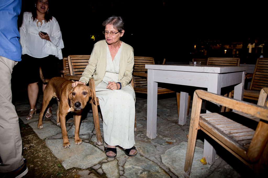 ένας αδέσποτος σκύλος δέχεται τα χάδια μια κυρίας ντυμένης στα λευκά.
