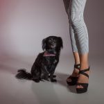πόδια γυναιίκας με ασπρόμαυρο ριγωτό κολάν να φορά, δίπλα της σκυλάκι μαύρο με το όνομα Ζιζέλ.